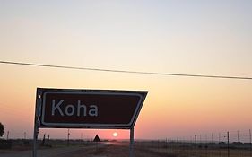Koha Guesthouse
