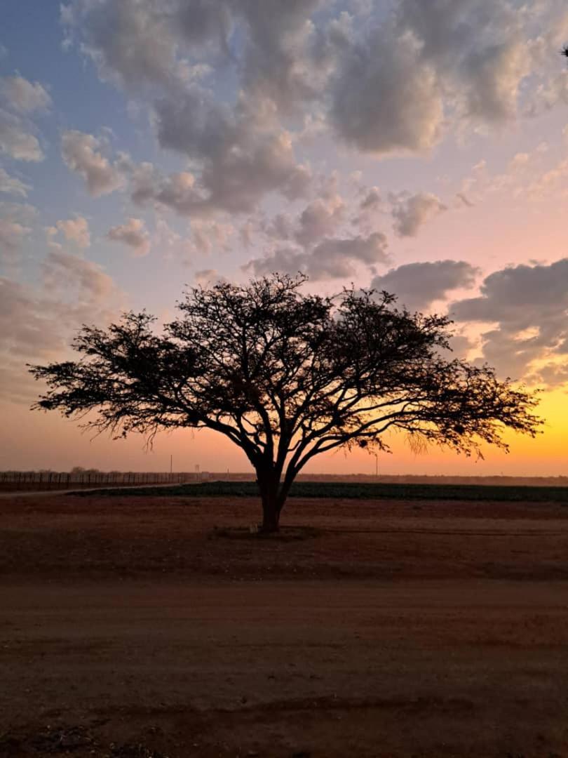 Koha Guesthouse Mariental Buitenkant foto